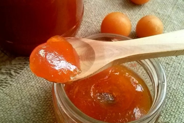 Cherry Plum and Apple Jam