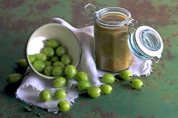 Gooseberry Sauce – Classic Recipe