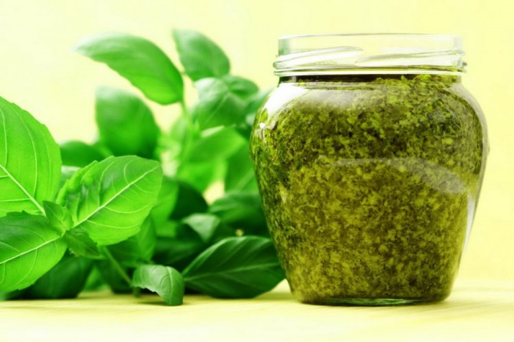 Basil with Olive Oil and Salt for Winter