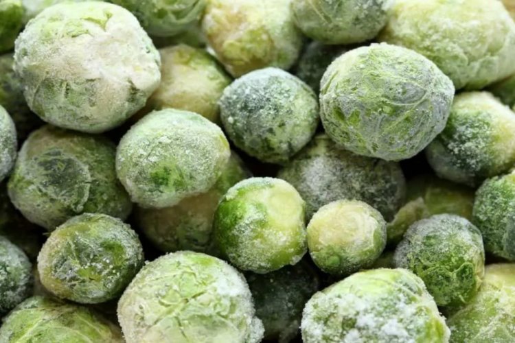 Gefrorener Rosenkohl für den Winter