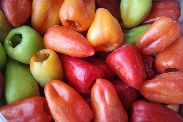 Paprika, zum Füllen eingefroren