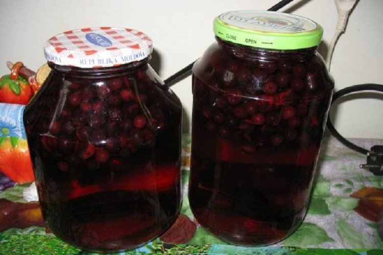 Schlehen-Aronia-Kompott für den Winter
