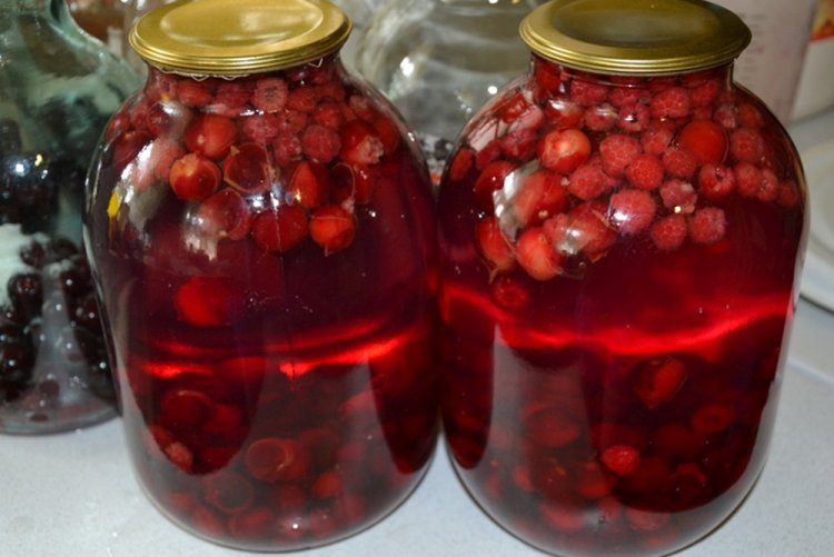 Kompott aus Schlehen, Kirschpflaumen und Himbeeren