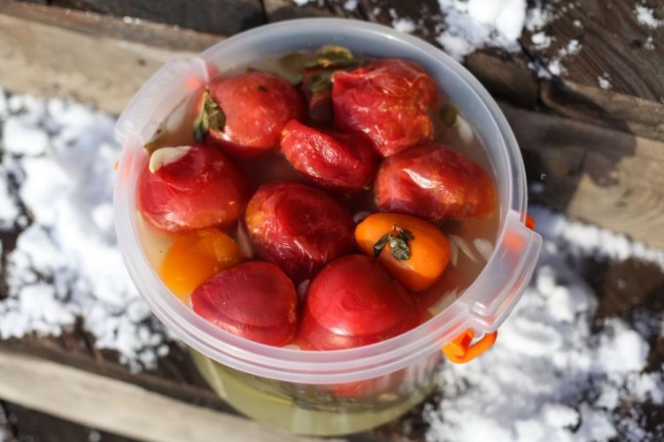 Fass-Tomaten im Plastikeimer