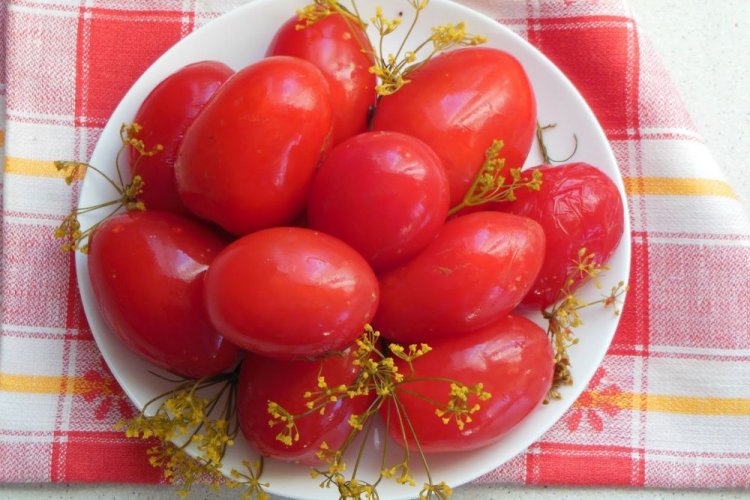Eingelegte Tomaten im Fass