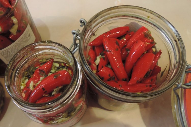 Eingelegte scharfe Paprika mit Kräutern für den Winter
