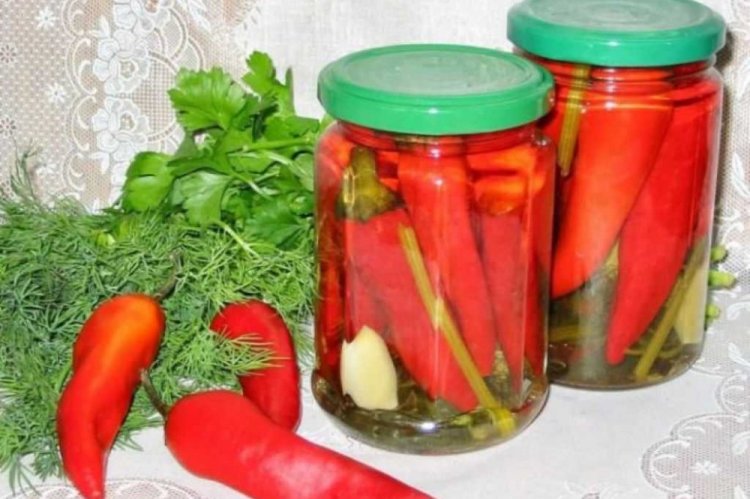 Eingelegte scharfe Paprika mit Meerrettich für den Winter
