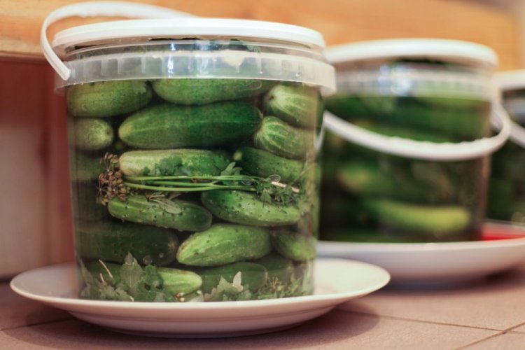 Fermented Gherkins in Plastic Buckets