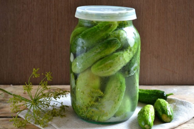 Cold-Pickled Cucumbers with Dill for Winter