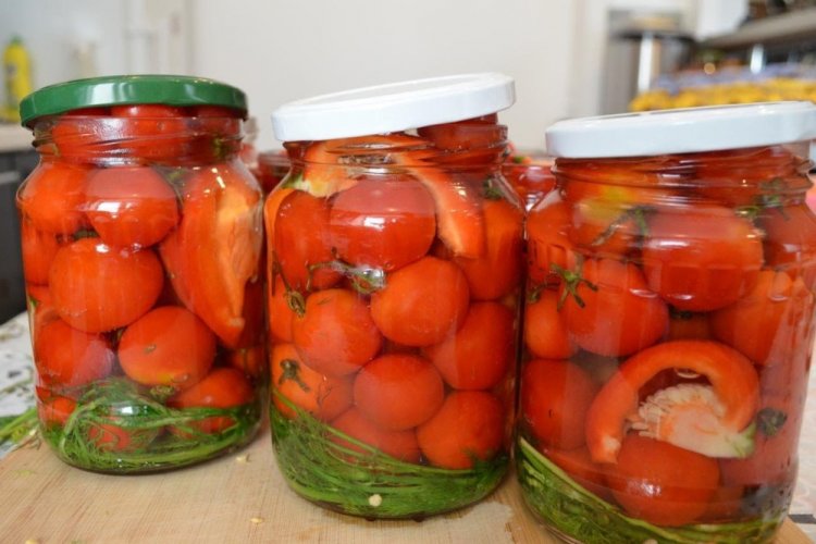 Cherry Tomatoes for Winter
