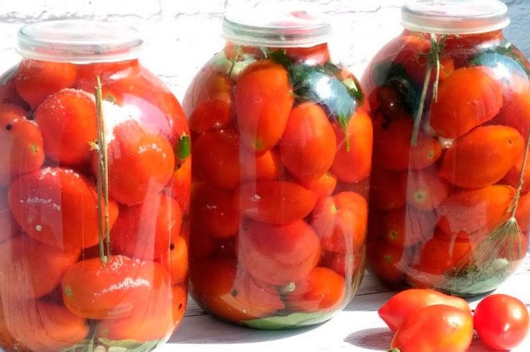 Fermented Tomatoes in a Jar for Winter