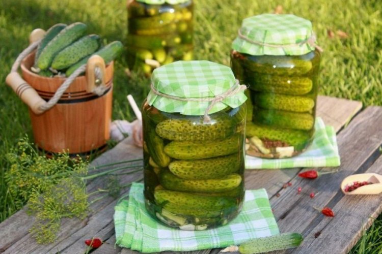 Pepinos encurtidos para el invierno «Para chuparse los dedos»