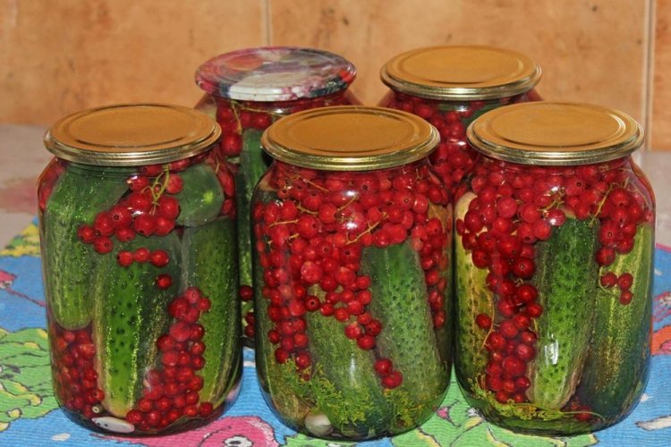 Pepinos encurtidos con ajo y grosella roja