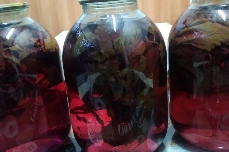 Compota de albahaca con ácido cítrico para el invierno