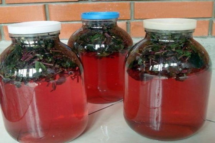 Compota de albahaca con lima para el invierno