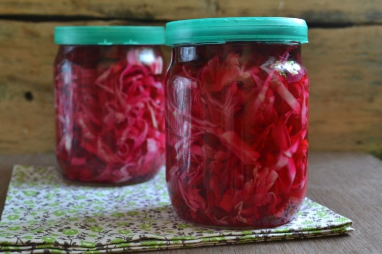 Eingelegter Kohl mit Roter Bete für den Winter