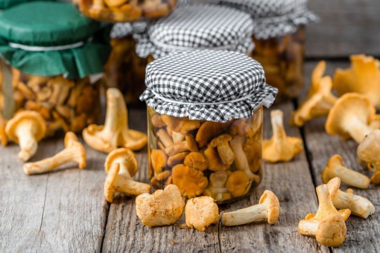 Marinated Chanterelles with Vinegar