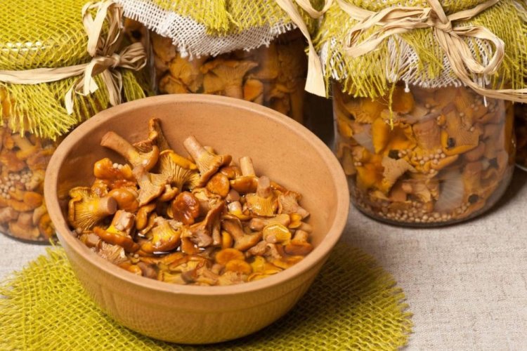 Marinated Chanterelles with Onion and Mustard for Winter