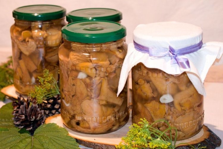 Marinated Chanterelles with Horseradish Root and Garlic