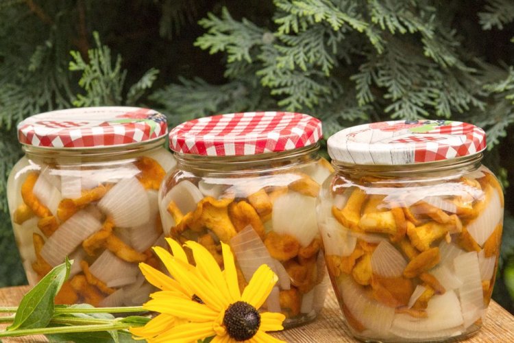 Chanterelles with Onion in Honey Marinade for Winter