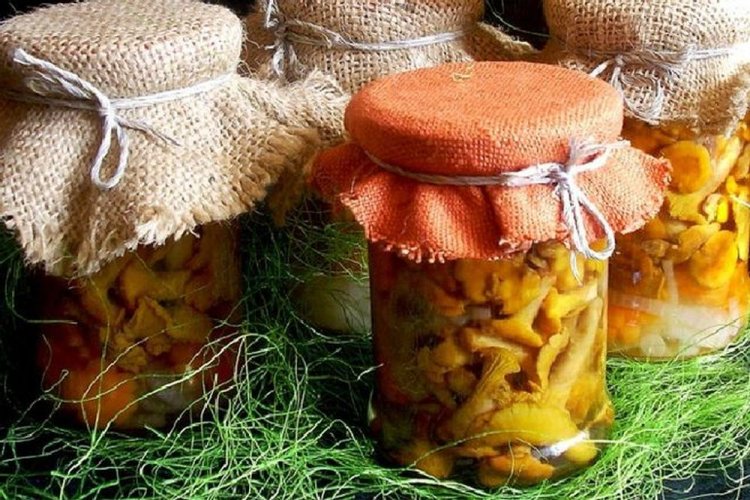 Chanterelles Marinated with Vinegar and Vodka