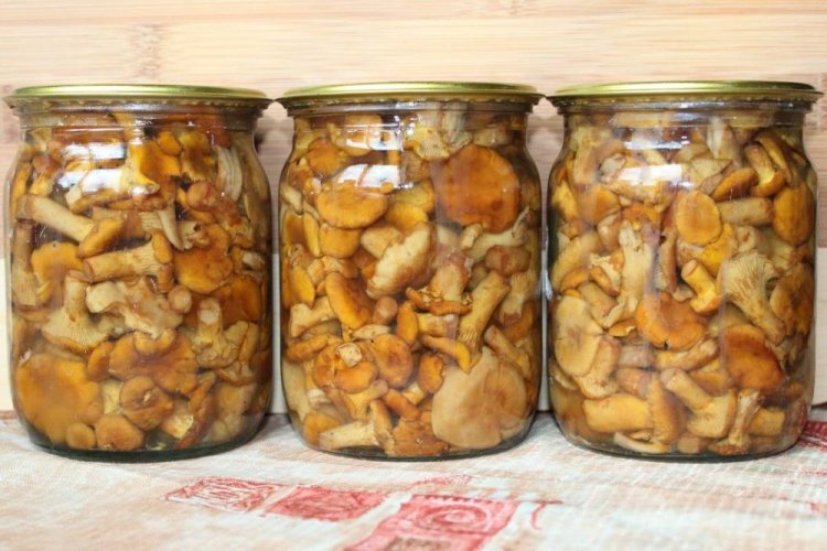 Marinated Chanterelles with Mustard Powder and Vinegar