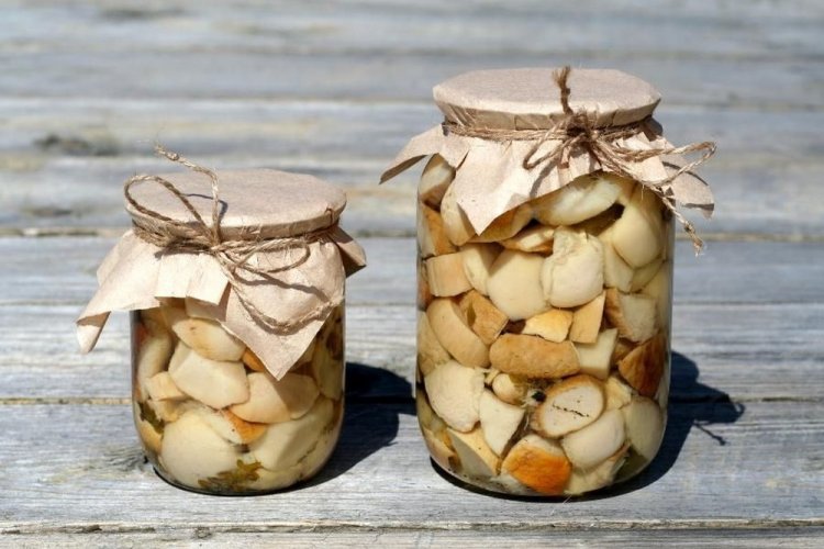 Boletus marinados con vinagre para el invierno