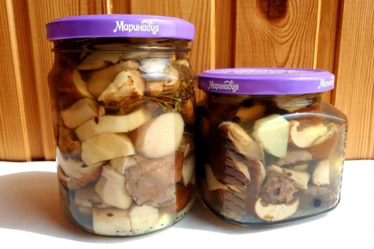 Boletus marinados sin vinagre