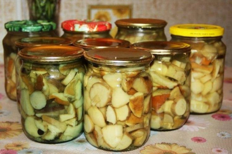 Boletus marinados con anís estrellado y canela
