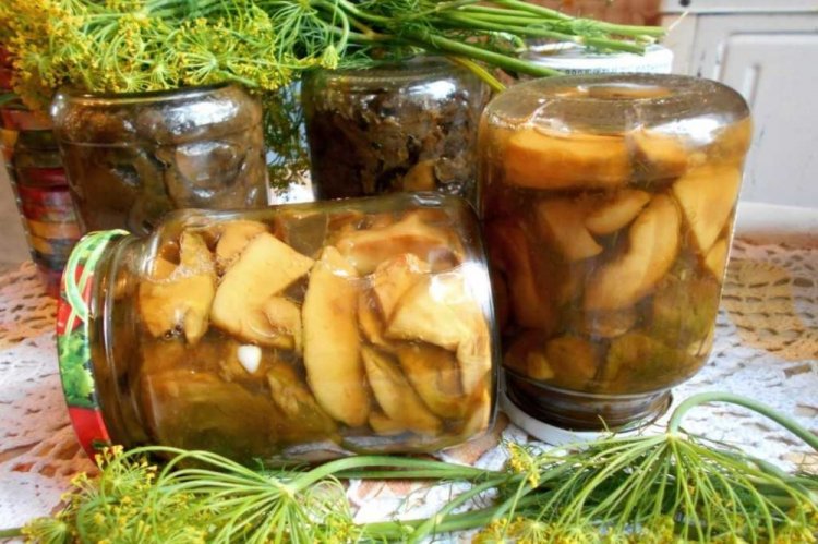 Boletus marinados sin esterilización