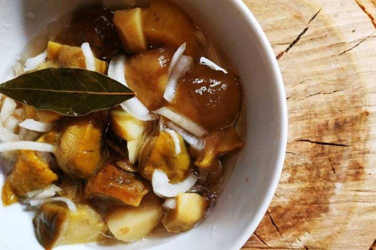 Boletus marinados con cebolla para el invierno