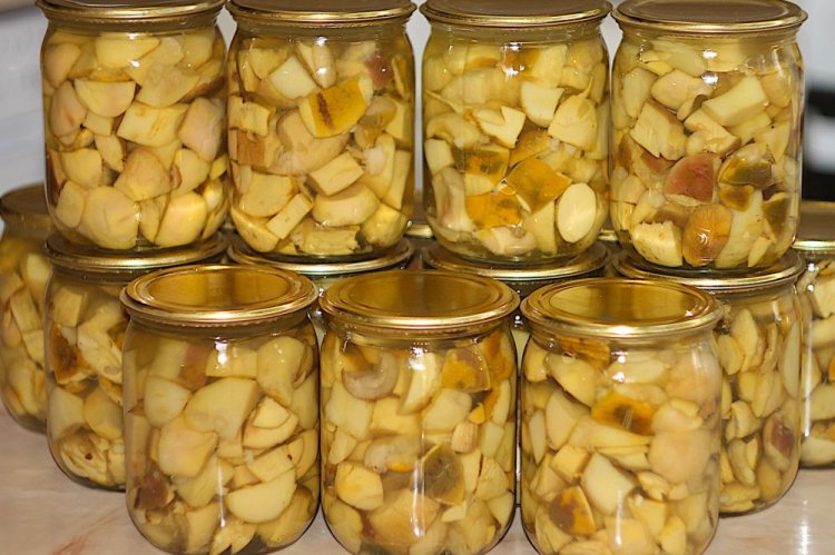 Boletus marinados con mostaza para el invierno