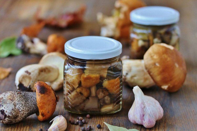 Boletus marinados con vino para el invierno