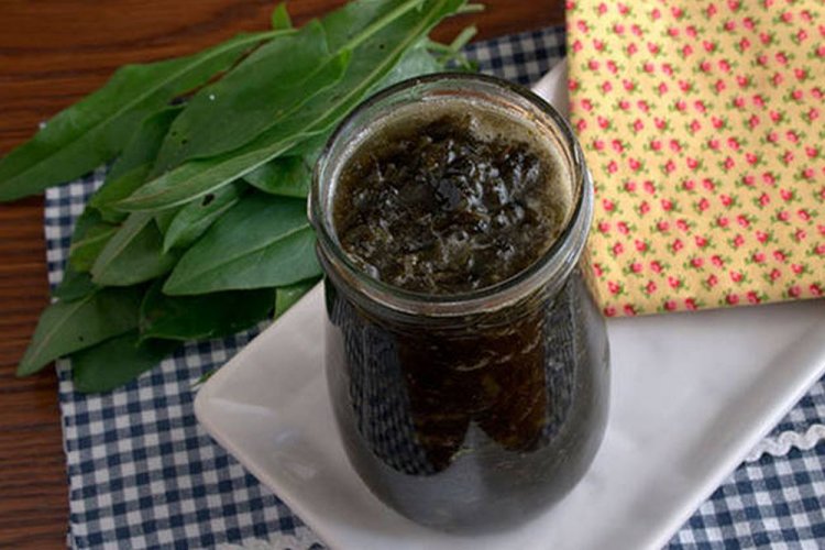 Sauerampfermarmelade für den Winter