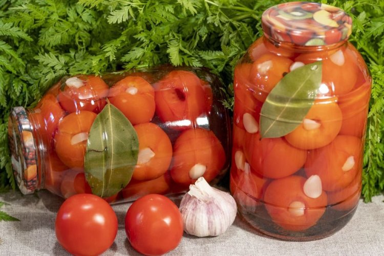 Mit Knoblauch gefüllte Tomaten für den Winter