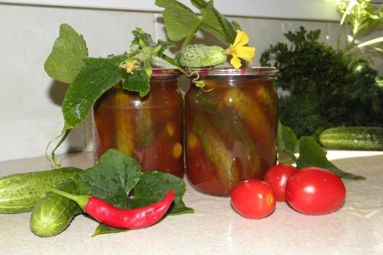 Pepinos picantes en salsa de tomate para el invierno