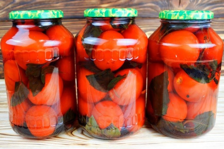 Eingelegte Tomaten mit Basilikum