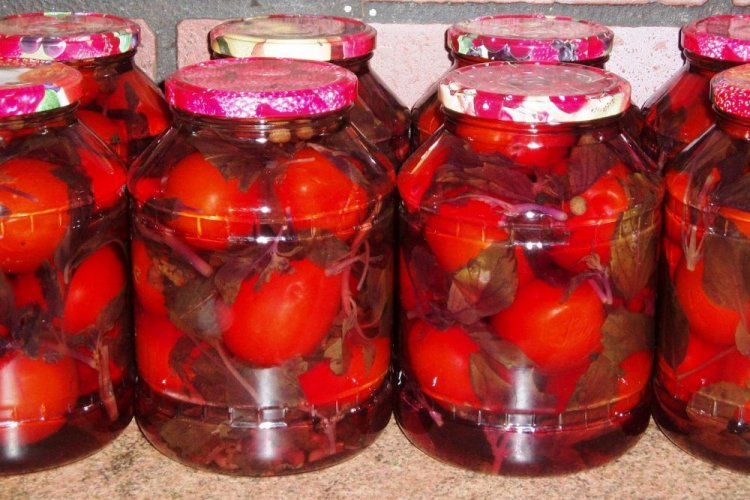 Tomaten mit Basilikum, Gewürzen und Zitronensaft