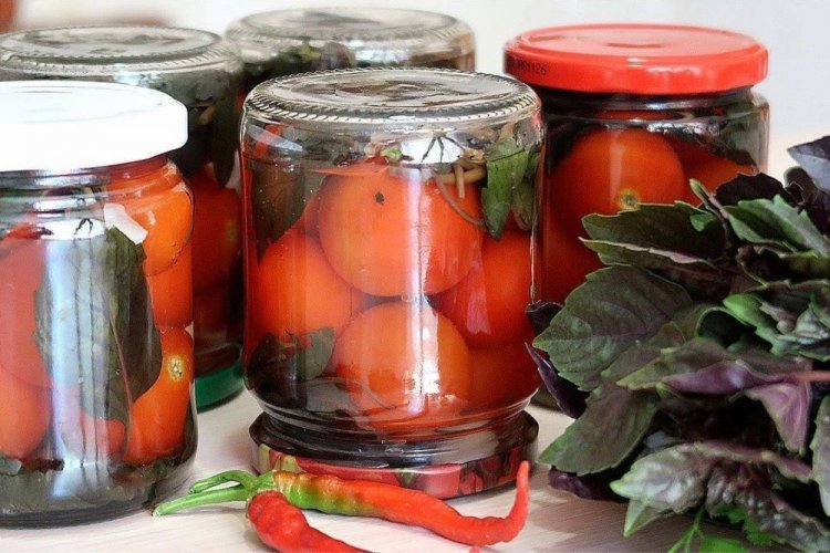 Pikante Tomaten mit scharfem Pfeffer und Basilikum