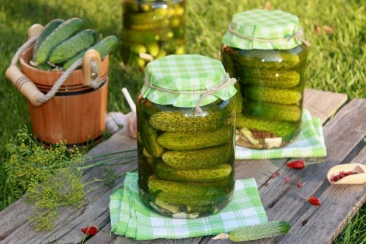 Polnische Gurken mit Essig und Wodka