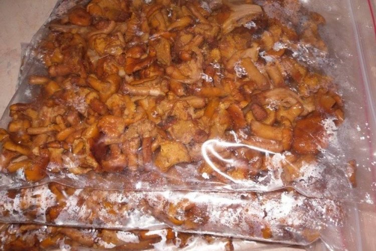 Rebozuelos fritos en el congelador