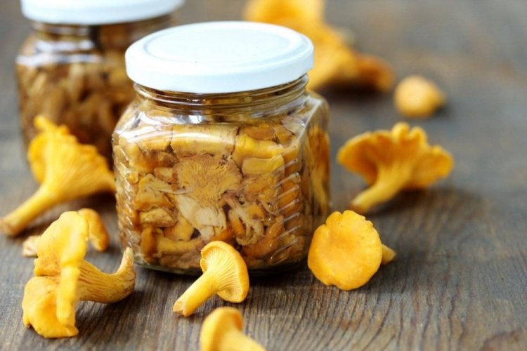 Rebozuelos fritos con aceite vegetal para el invierno