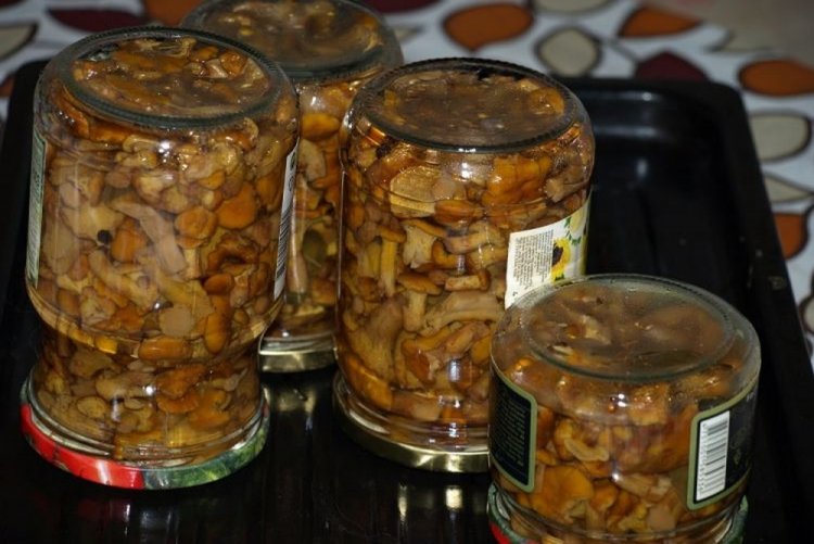 Rebozuelos fritos en una mezcla de dos aceites en frascos