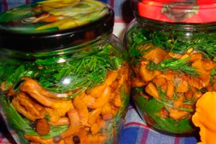 Rebozuelos fritos con vinagre y hierbas para el invierno