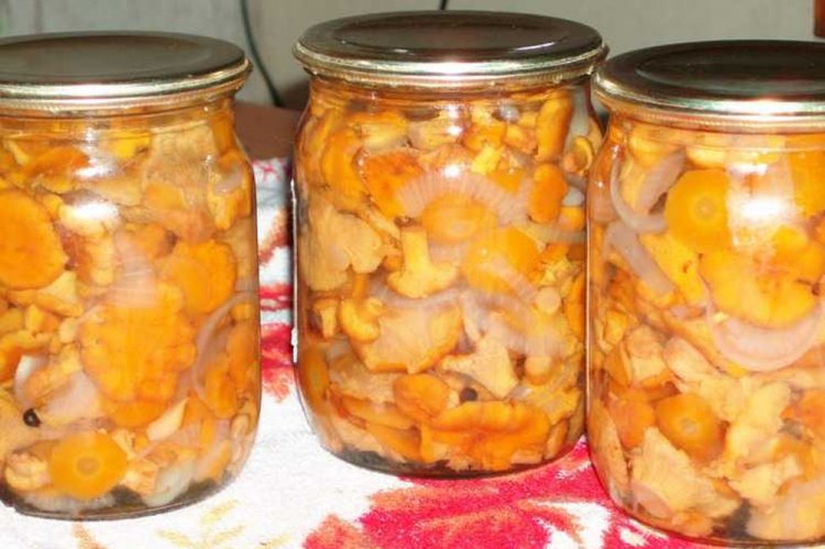 Rebozuelos fritos con cebolla y zanahoria para el invierno