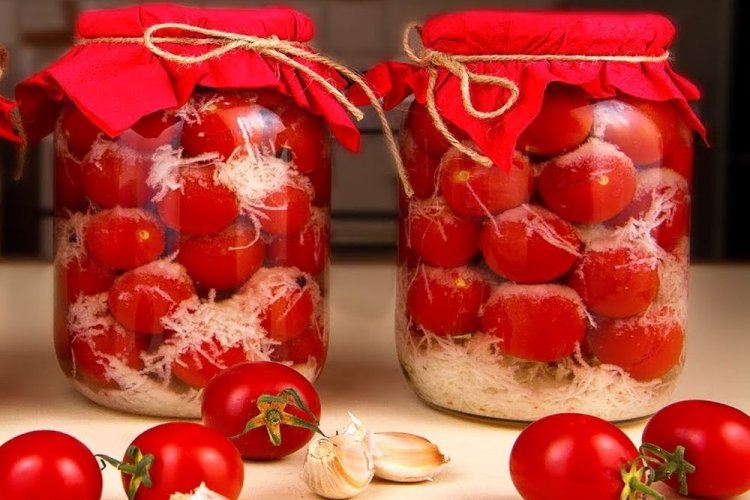 Tomaten im Schnee mit Knoblauch und Petersilienwurzel