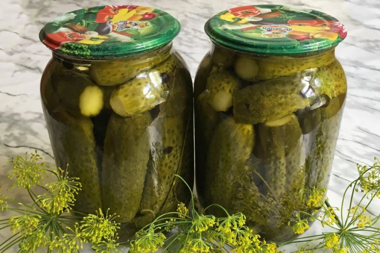 Bulgarische Gurken mit Zitronensaft für den Winter