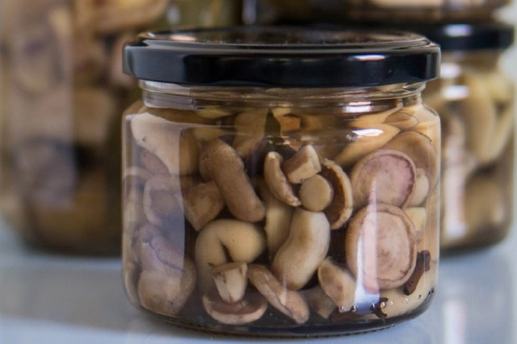 Boletus marinados con vinagre para el invierno