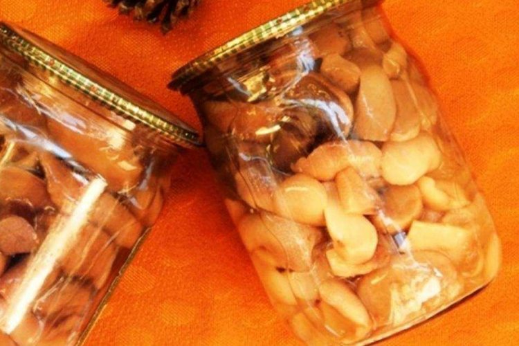 Boletus marinados con canela para el invierno