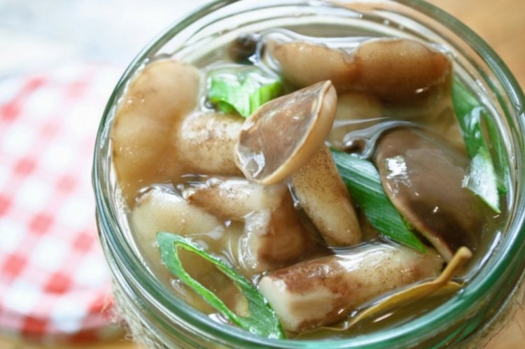 Boletus marinados con raíz de rábano picante para el invierno